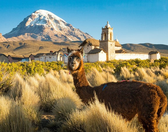 BOLIVIA: 15-20 DEC 2025