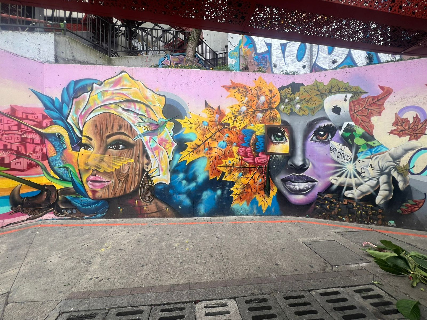 COLOMBIA: 29 NOV-8 DEC 2025