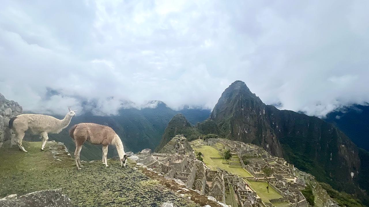 PERU: 8-15 DEC 2025