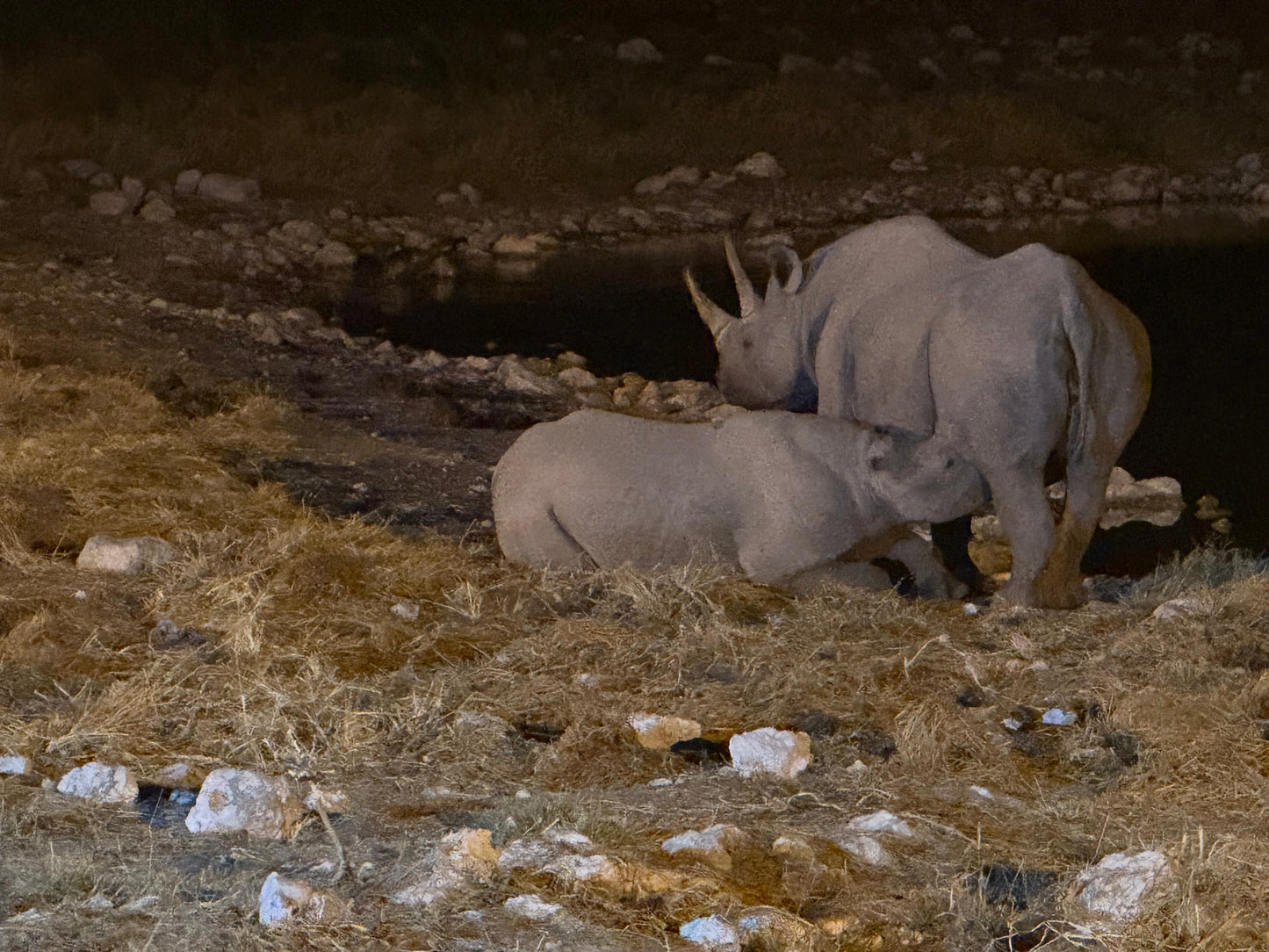 NAMIBIA 27 June-5 July 2026