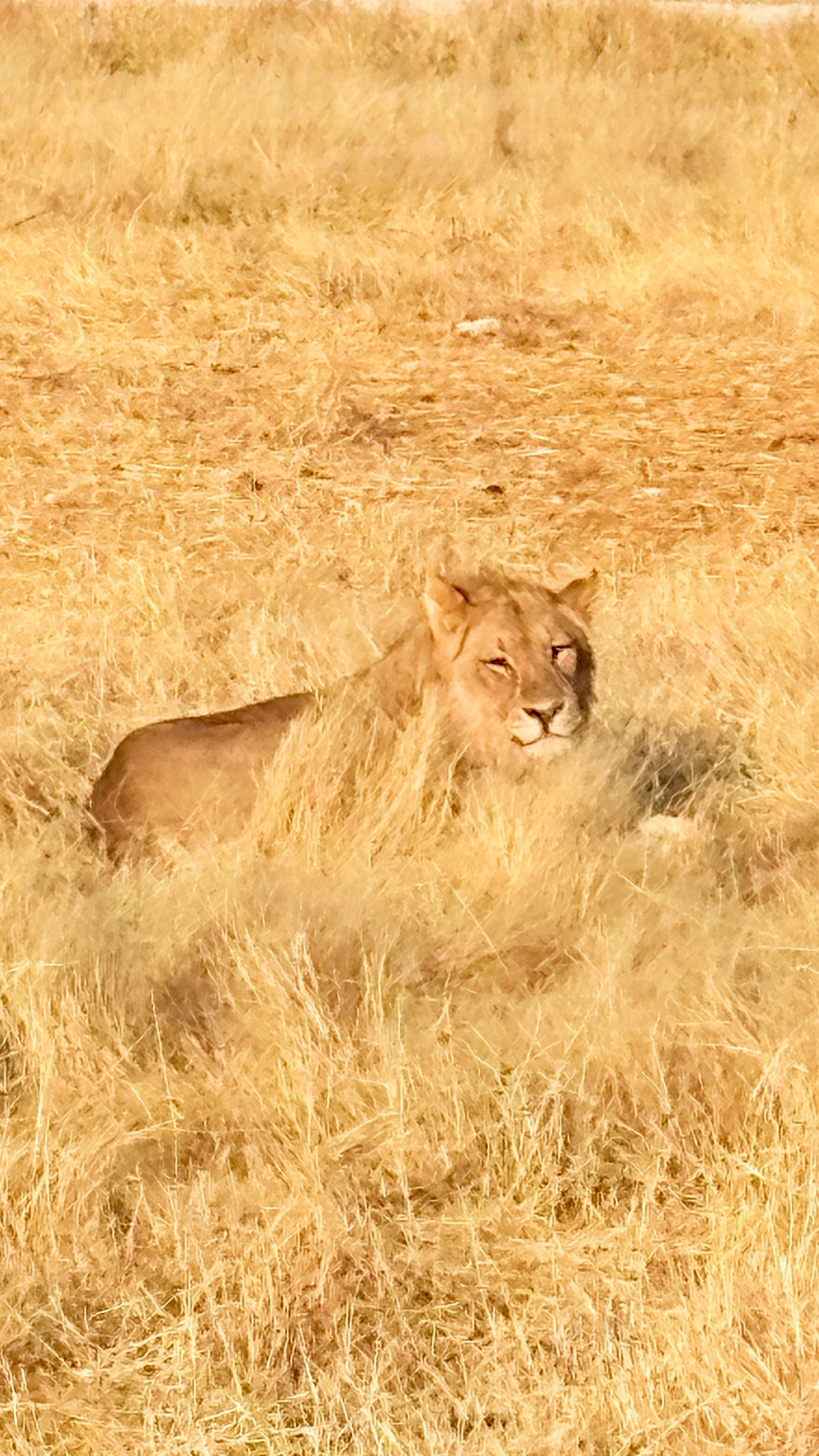 NAMIBIA 27 June-5 July 2026
