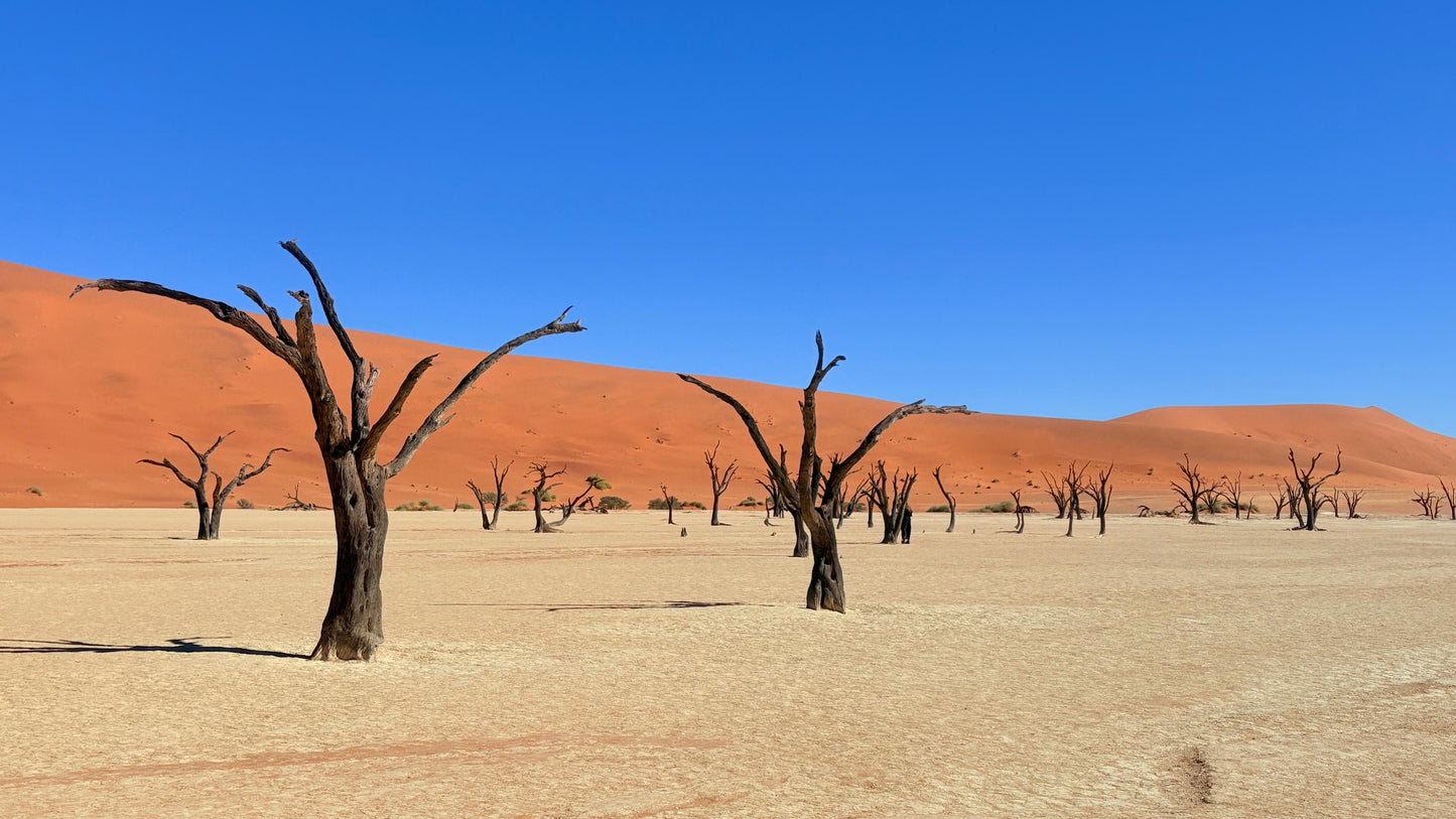 NAMIBIA 27 June-5 July 2026