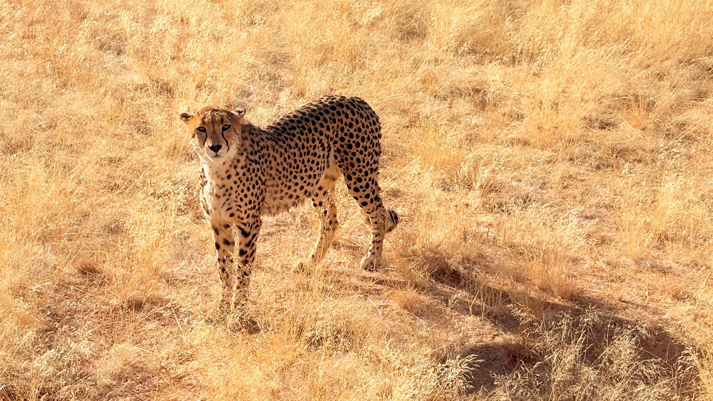 NAMIBIA 27 June-5 July 2026