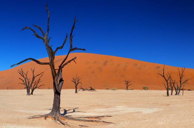 NAMIBIA 22-30 June 2025