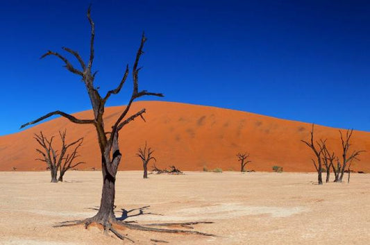 NAMIBIA 22-30 June 2025