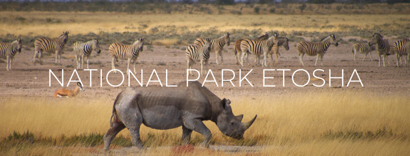 NAMIBIA 22-30 June 2025