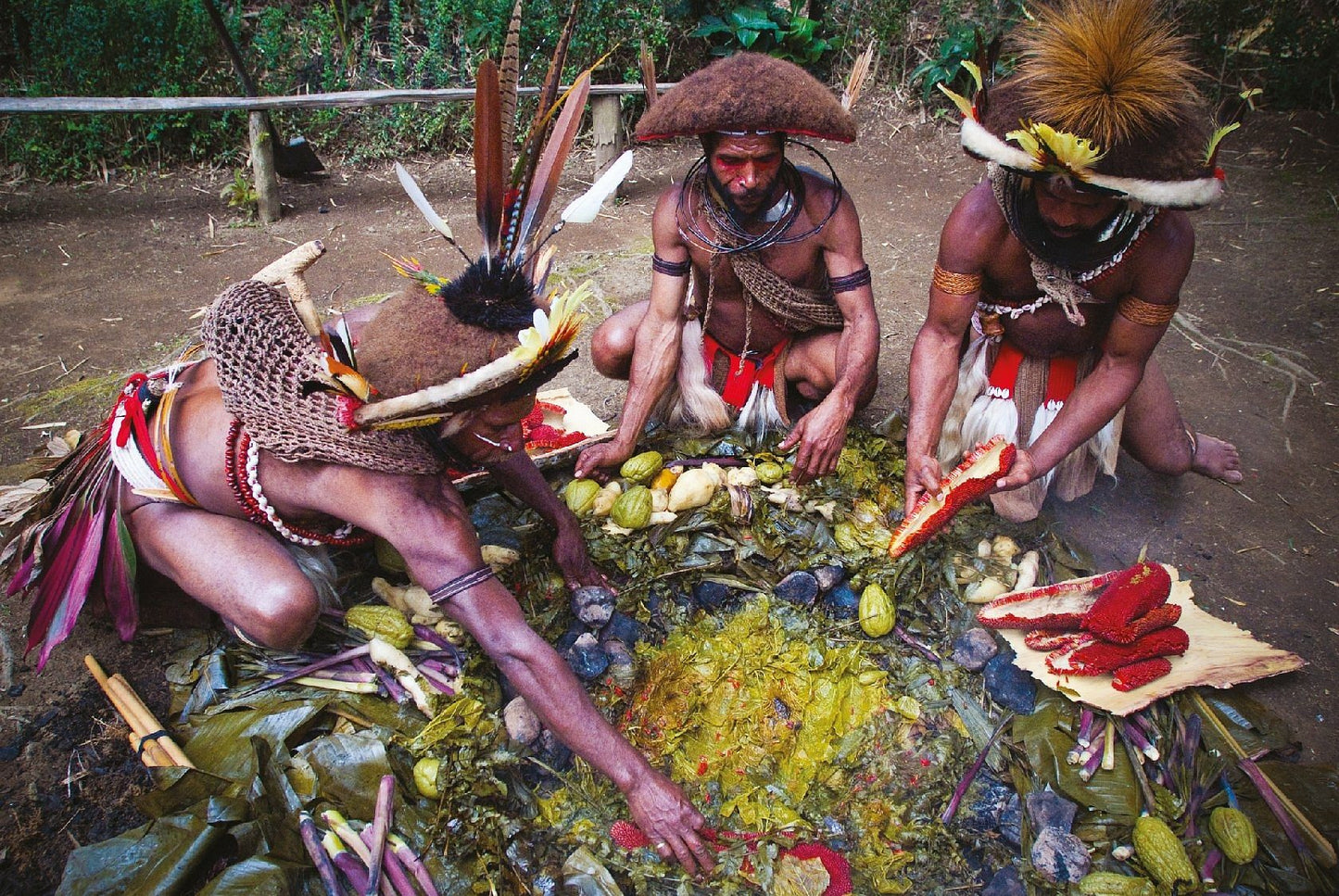 PAPUA NEW GUINEA 14-20 AUG 2025