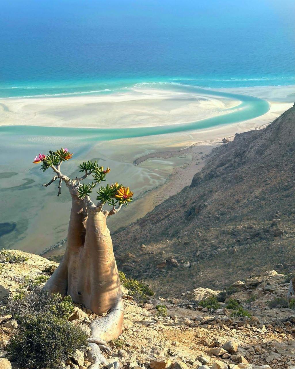 SOCOTRA 1-8 Dec 2026