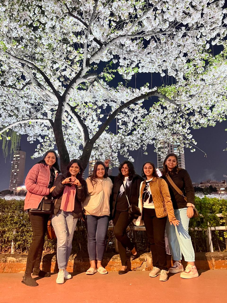 SOUTH KOREA: 29 MARCH- 6 APRIL 2025