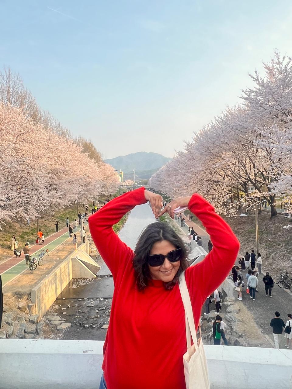 SOUTH KOREA: 29 MARCH- 6 APRIL 2025