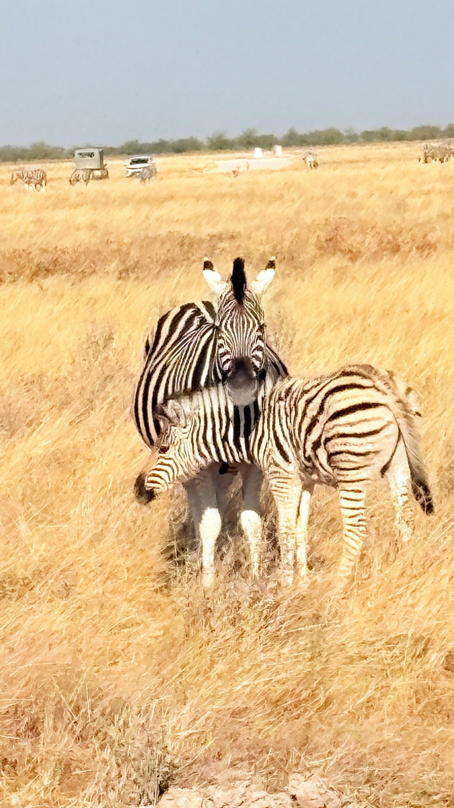 NAMIBIA 27 June-5 July 2026