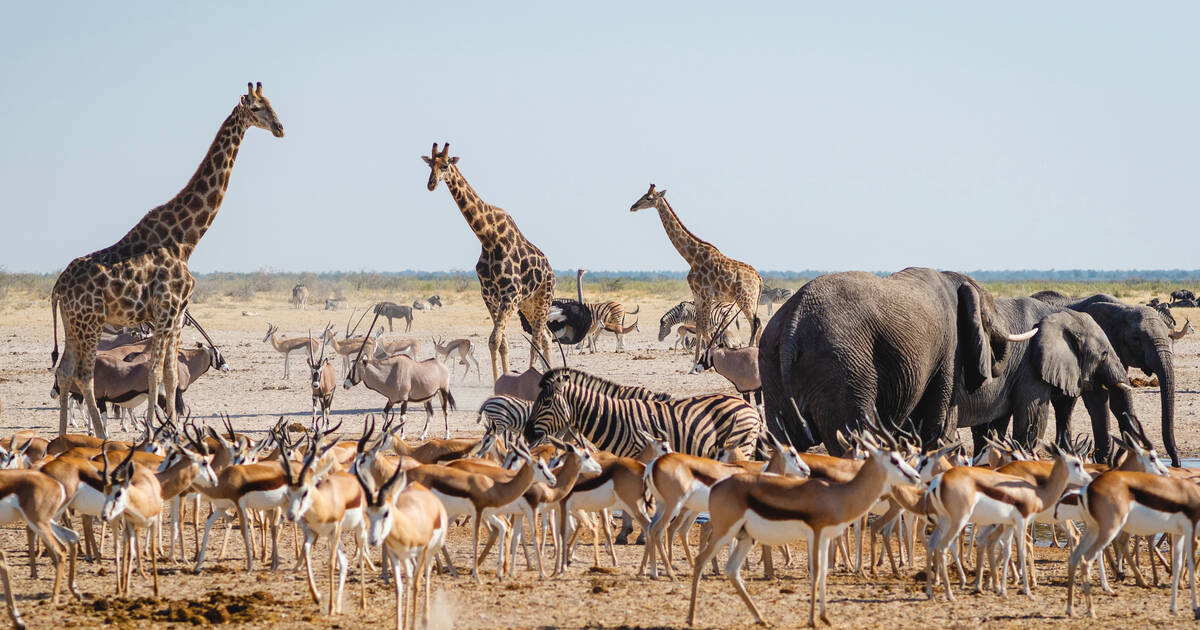 NAMIBIA 22-30 June 2025